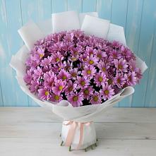 Букет цветов из:  Хризантемы #REPLACE_PRED# Терезе