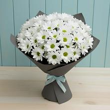 Букет цветов из:  Хризантемы #REPLACE_PRED# Терезе