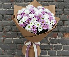 Букет цветов из:  Хризантемы #REPLACE_PRED# Терезе