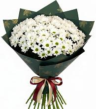 Букет цветов из:  Хризантемы в Терезе