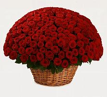 Премиум букет из: Розы #REPLACE_PRED# Терезе